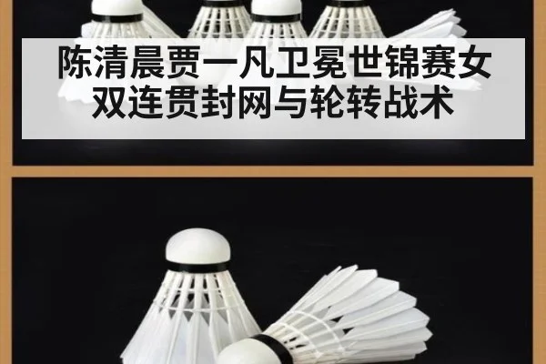 陈清晨贾一凡卫冕世锦赛女双连贯封网与轮转战术